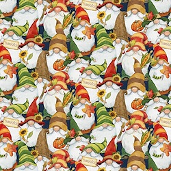 Multi - Packed Gnomes